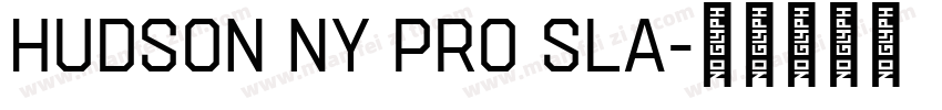 Hudson NY Pro Sla字体转换
